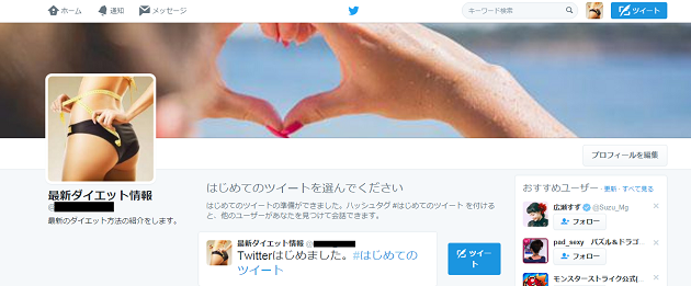 twitterカスタマイズ30